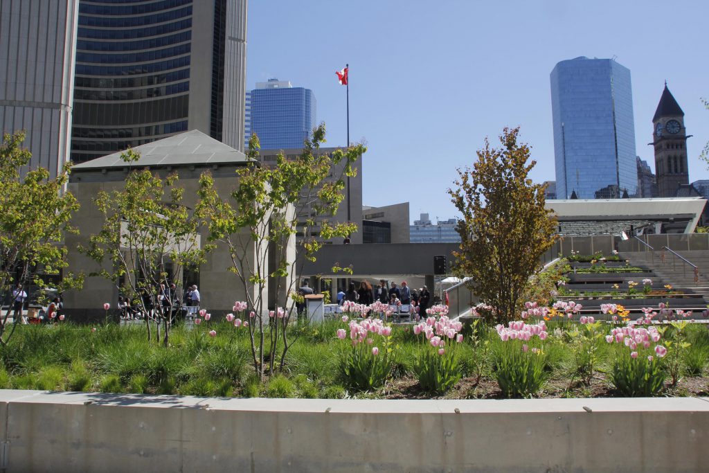 Setsuko Thurlow and the Hiroshima Nagasaki Day Coalition successfully lobbied Toronto City Council to preserve the City Hall Peace Garden on Nathan Phillips Square.